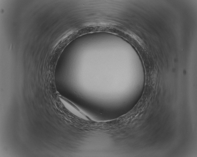 X0000086080967200704091257