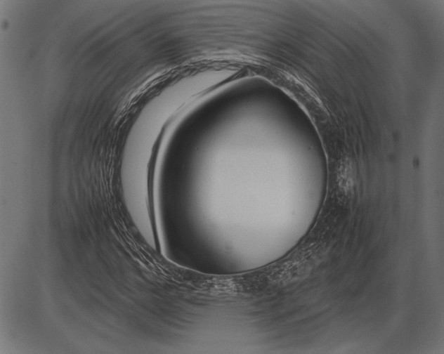 X0000086080968200704091257