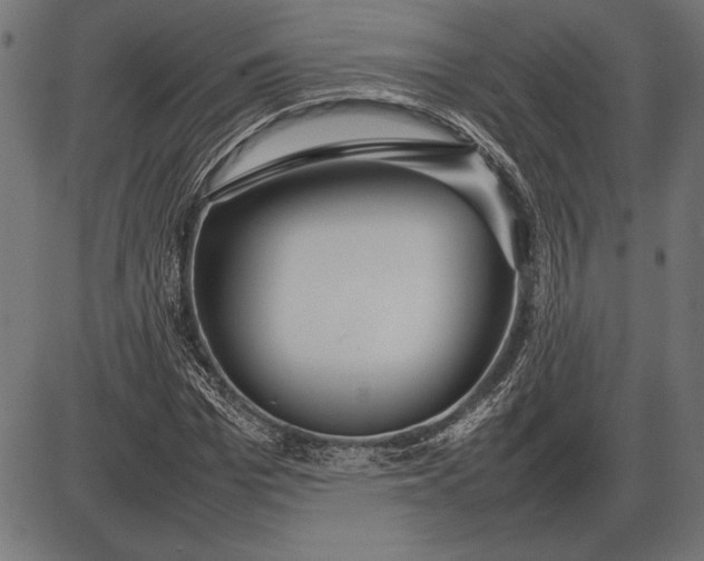 X0000086080969200704091257