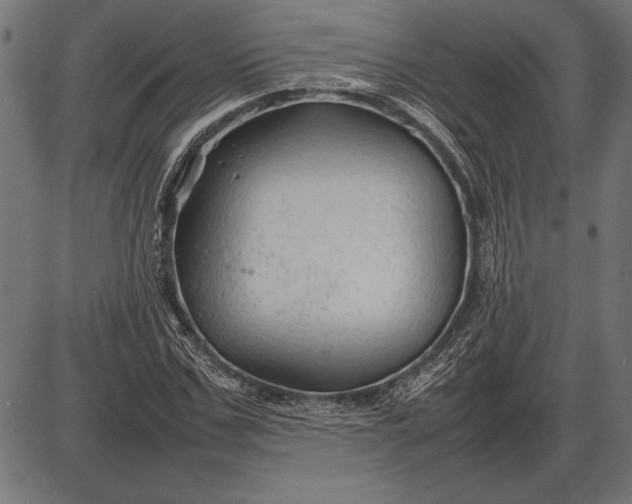 X0000086080971200704091257