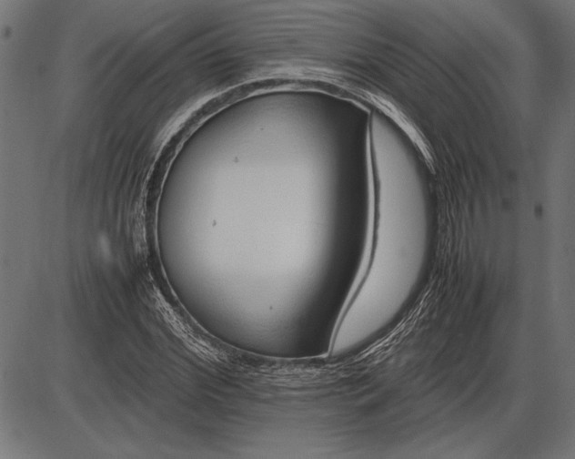 X0000086080972200704091257