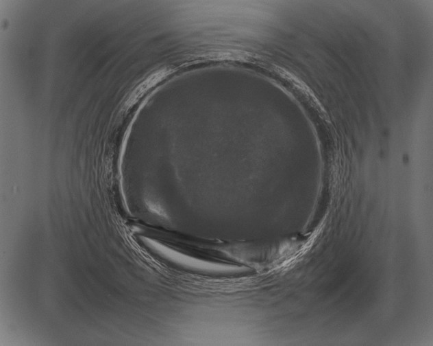 X0000086080977200704091257