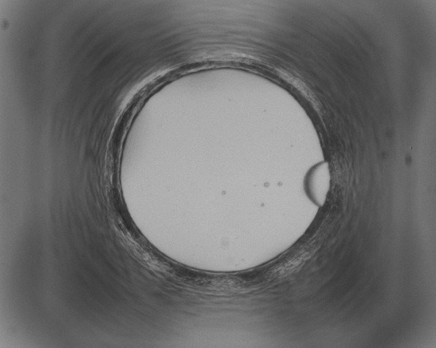 X0000086080979200704091256