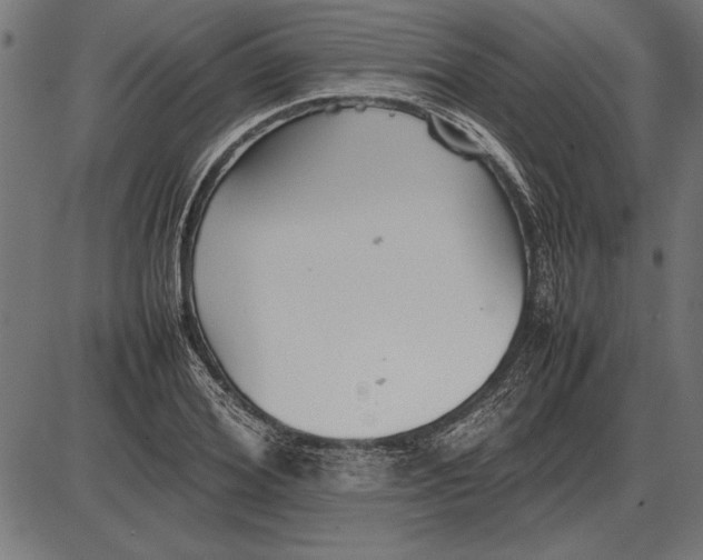 X0000086080980200704091256