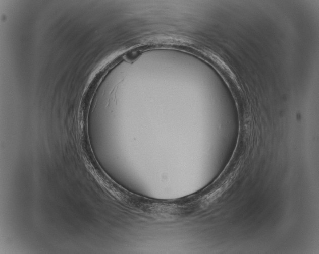 X0000086080981200704091256