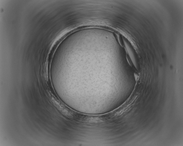 X0000086080982200704091256