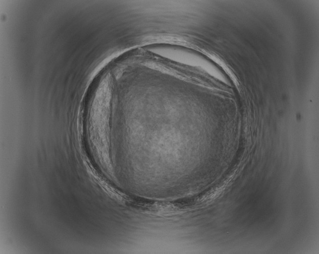 X0000086080983200704091256