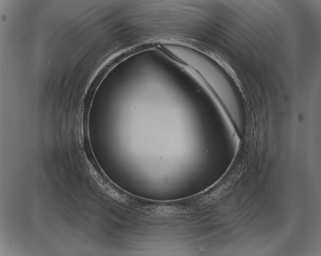 X0000086080984200704091256