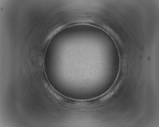 X0000086080985200704091256