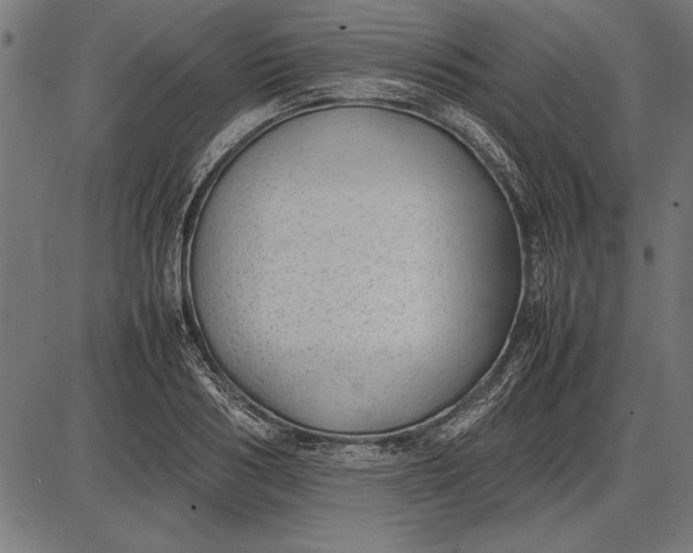 X0000086080986200704091256