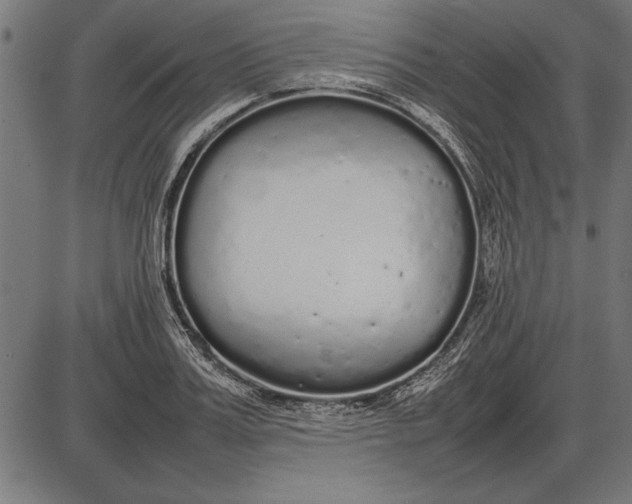 X0000086080987200704091256