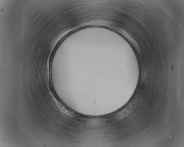 X0000086080988200704091256