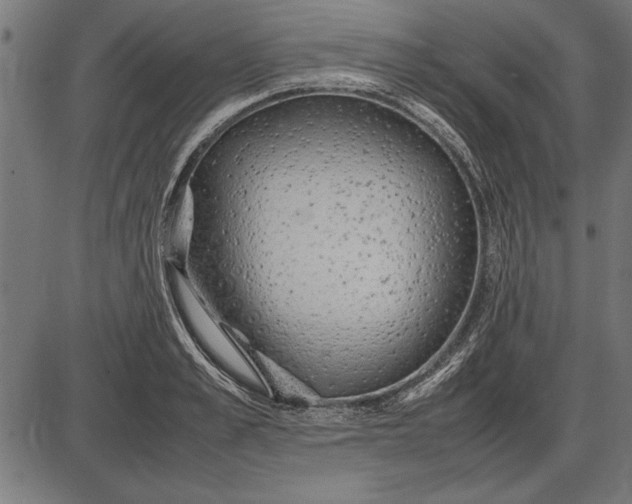 X0000086080989200704091256