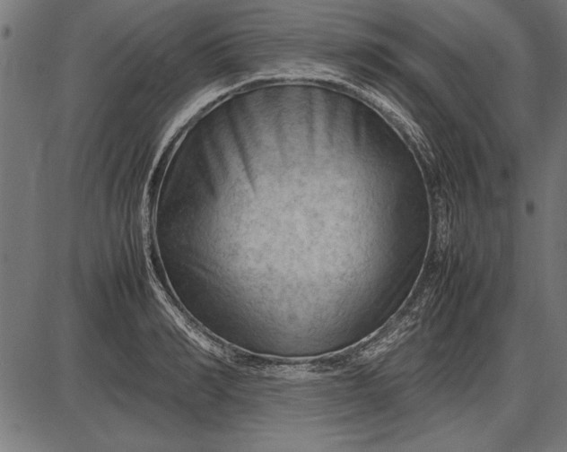 X0000086080990200704091256