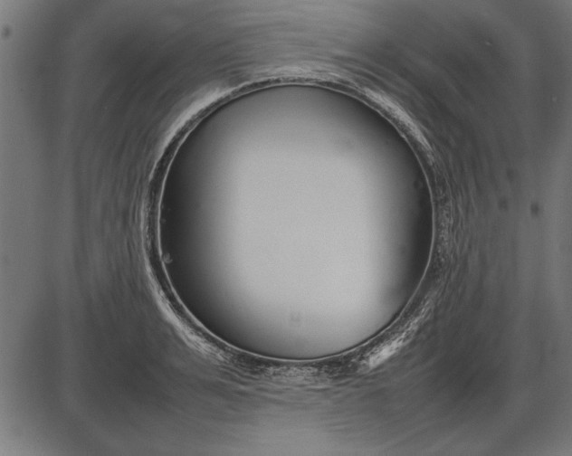 X0000086080991200704091256