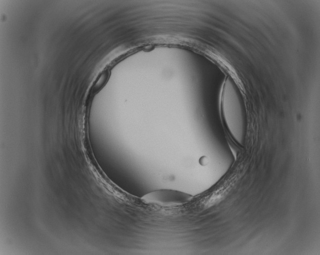 X0000086080992200704091256