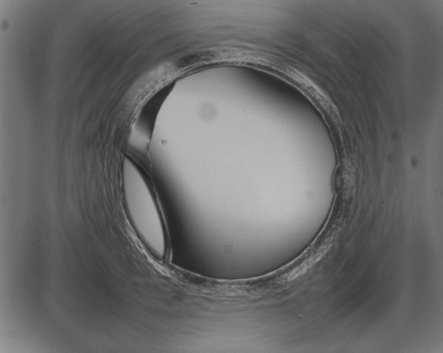 X0000086080993200704091256