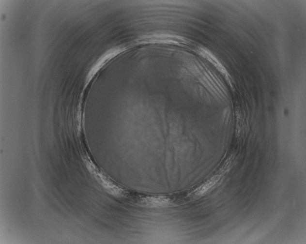 X0000086080994200704091256