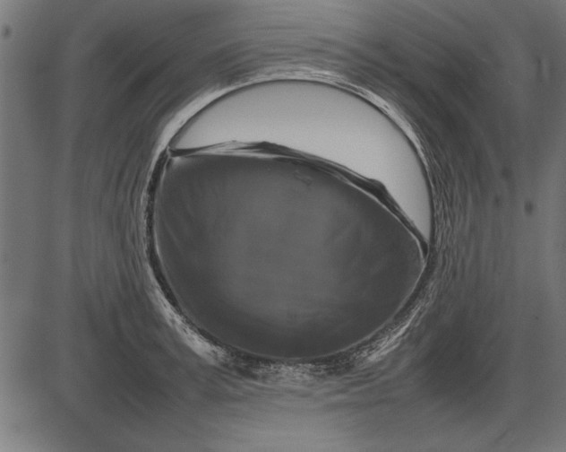 X0000086080995200704091256