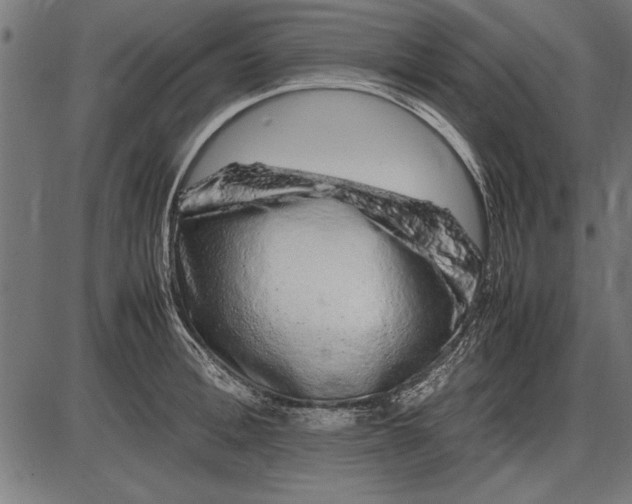 X0000086080996200704091256