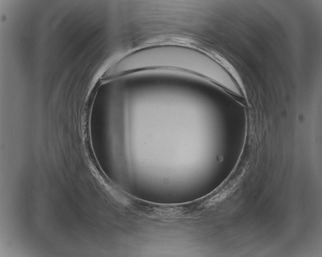 X0000086080997200704091256