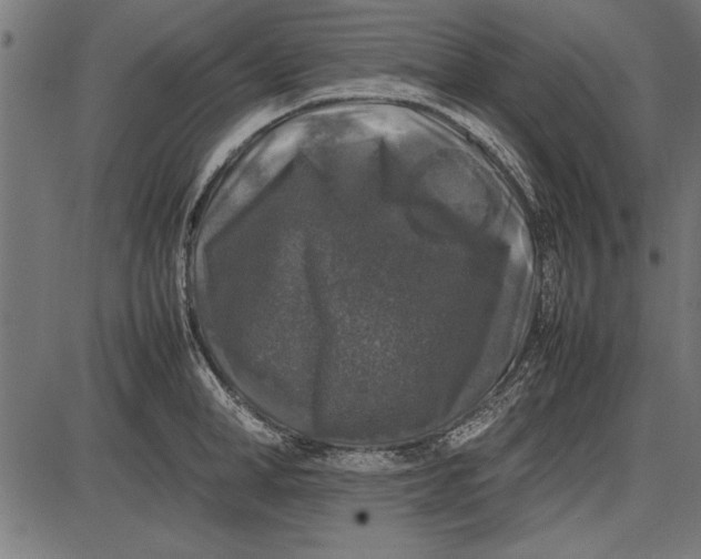 X0000086080998200704091256