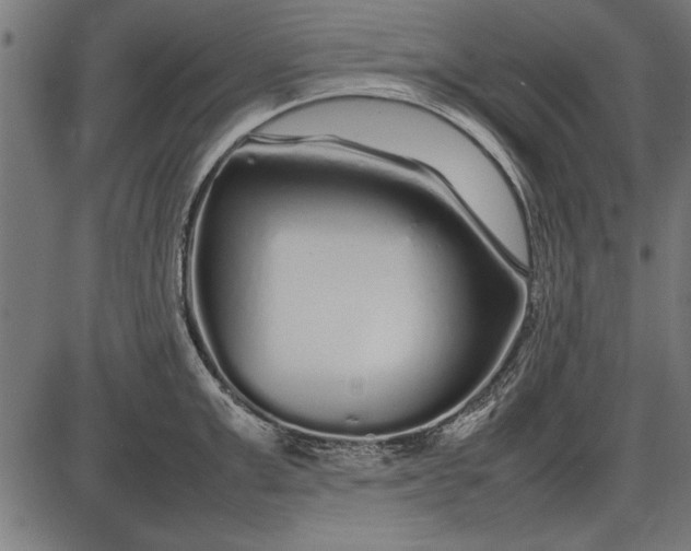 X0000086080999200704091256