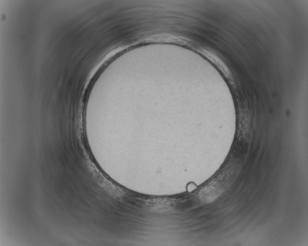 X0000086081000200704091256