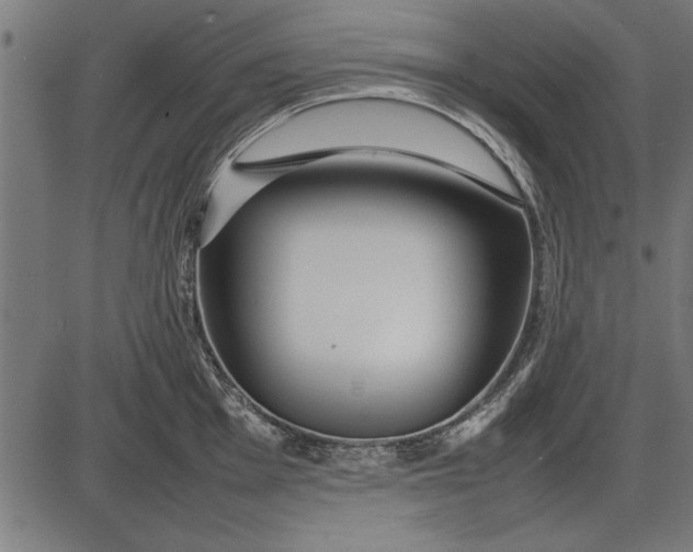 X0000086081001200704091256