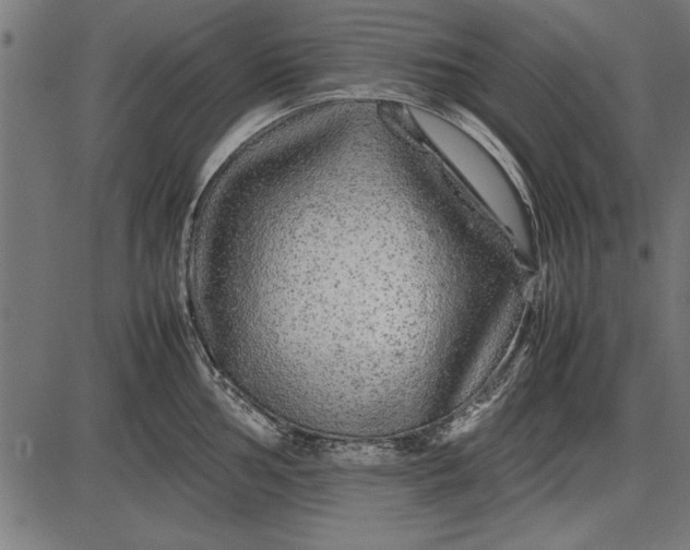 X0000086081002200704091256