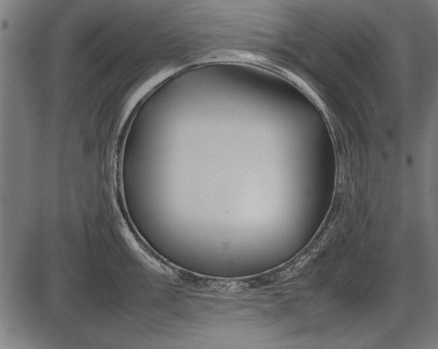 X0000086081003200704091256