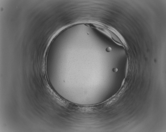 X0000086081004200704091256