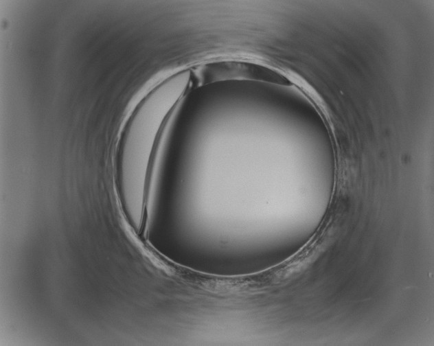 X0000086081005200704091256