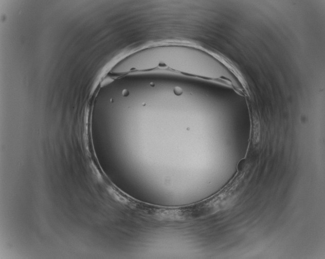 X0000086081006200704091256