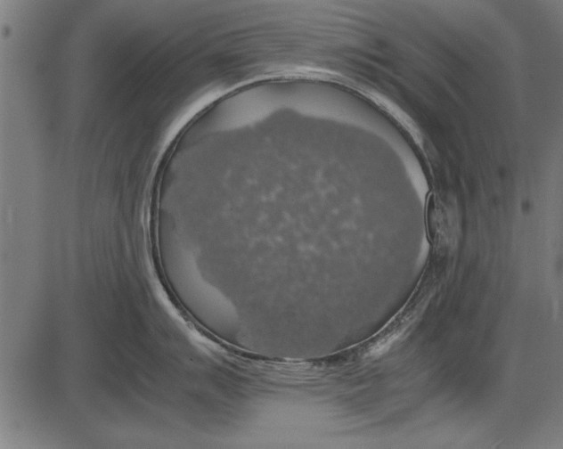 X0000086081007200704091256