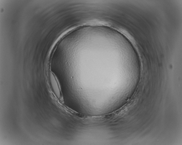 X0000086081008200704091256