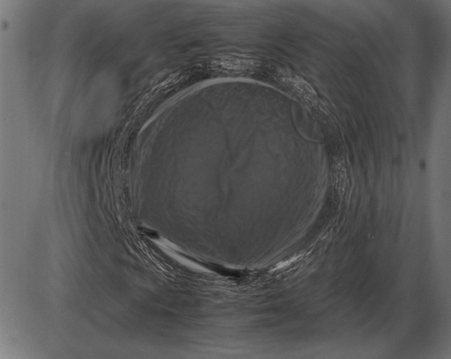 X0000086081009200704091255