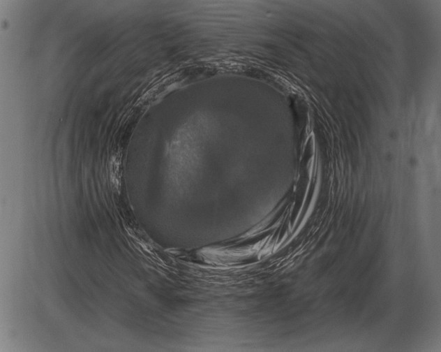 X0000086081010200704091255