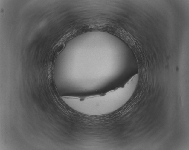 X0000086081012200704091255