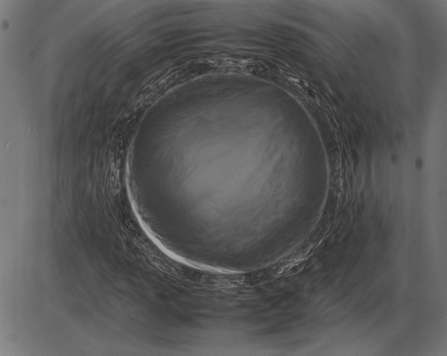 X0000086081013200704091255