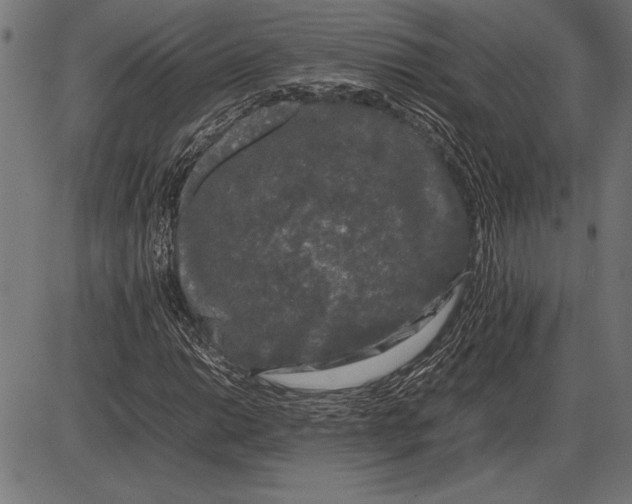 X0000086081014200704091255