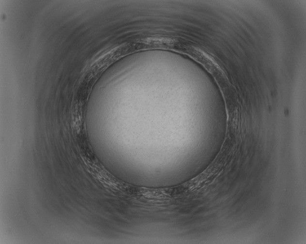 X0000086081015200704091255