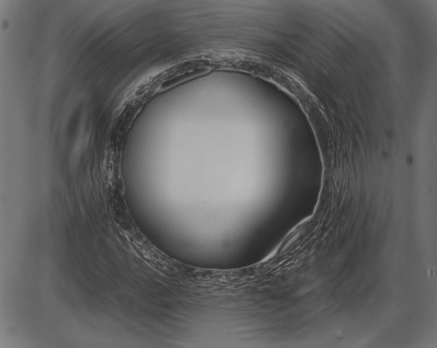 X0000086081016200704091255