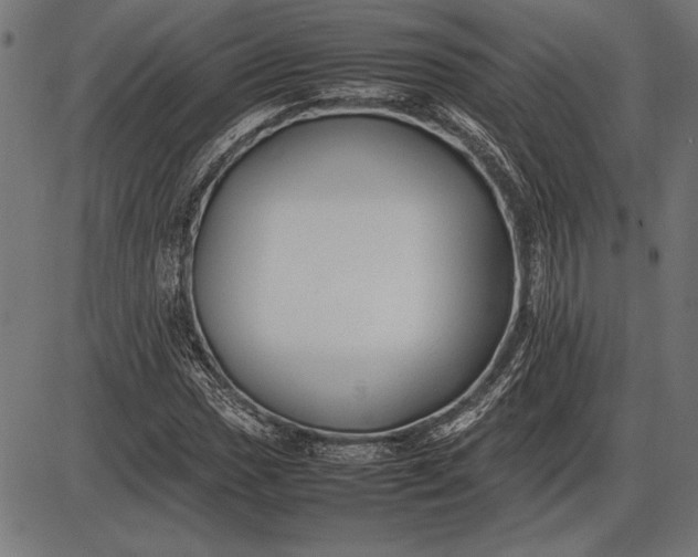 X0000086081017200704091255