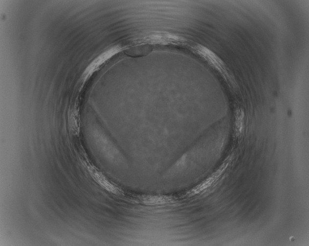 X0000086081018200704091255