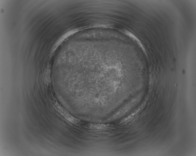 X0000086081019200704091255