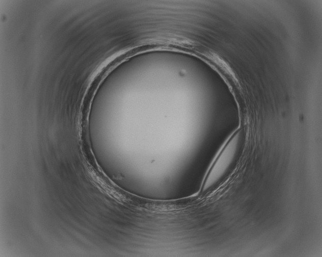 X0000086081020200704091255