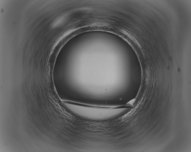 X0000086081021200704091255