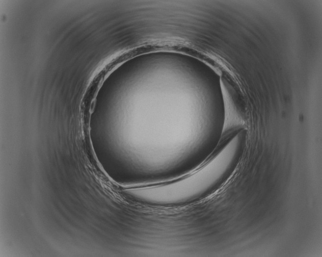 X0000086081022200704091255