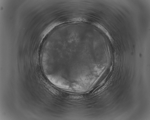 X0000086081023200704091255